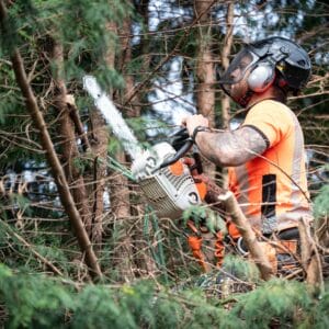Baumfällungen können anspruchsvoll und gefährlich sein, vor allem wenn sie in der Nähe von Wohngebieten, Straßen oder Stromleitungen stattfinden.
